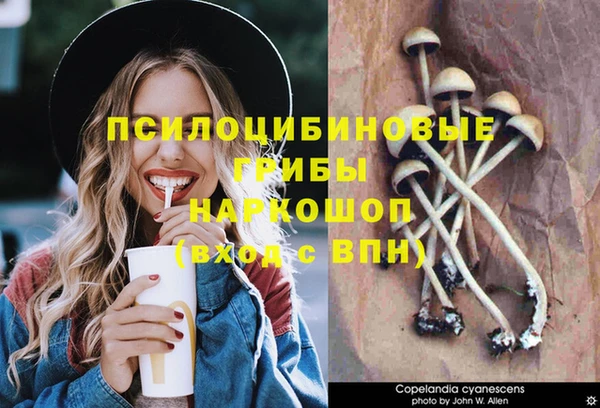 мефедрон Дмитриев