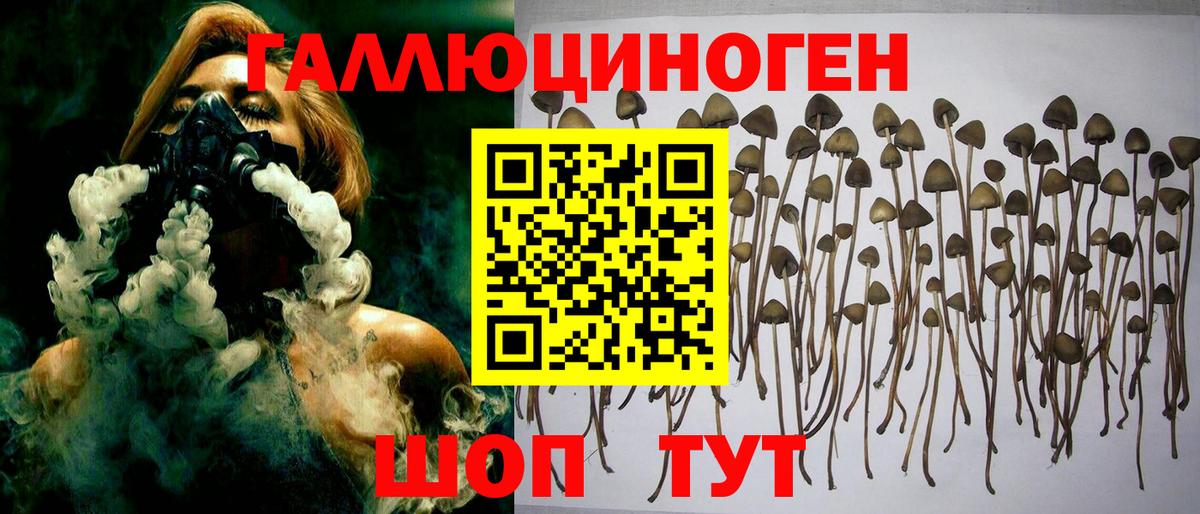 Псилоцибиновые грибы GOLDEN TEACHER Сланцы