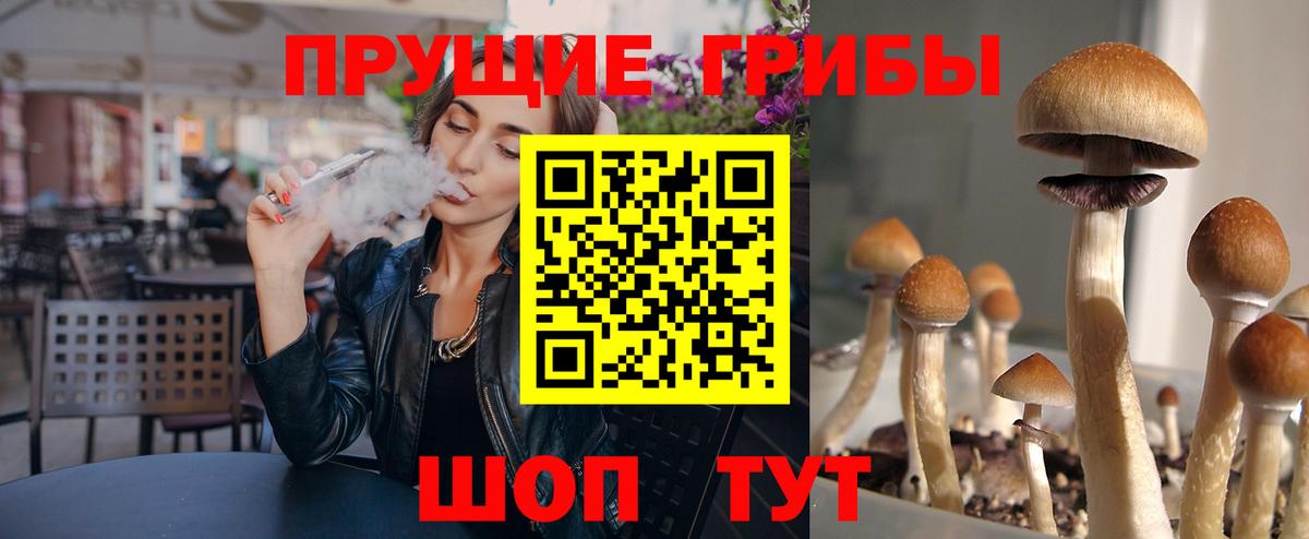 Сланцы  Псилоцибиновые грибы прущие грибы  Вход с VPN 